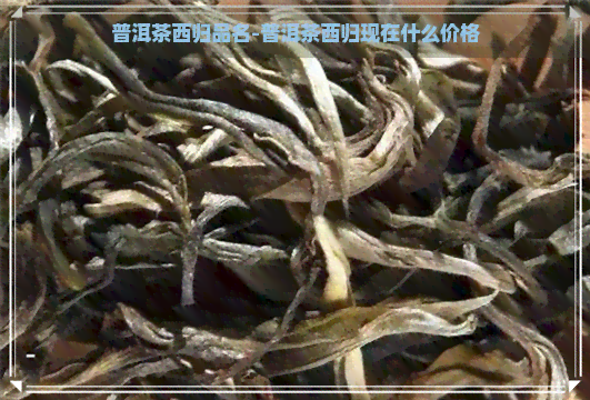 普洱茶西归品名-普洱茶西归现在什么价格