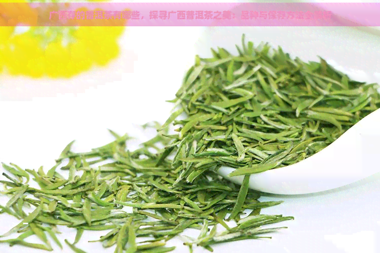 广西存的普洱茶有哪些，探寻广西普洱茶之美：品种与保存方法全解析