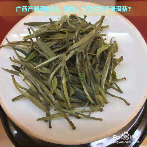 广西产普洱茶吗，揭秘：广西是否产普洱茶？