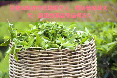 卖普洱茶的李晨是哪里人，揭秘普洱茶大亨：卖茶的李晨来自何方？