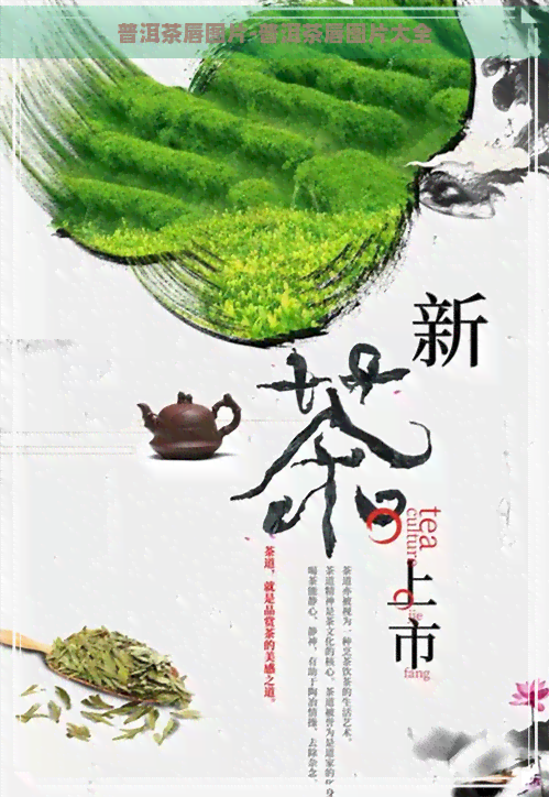 普洱茶唇图片-普洱茶唇图片大全