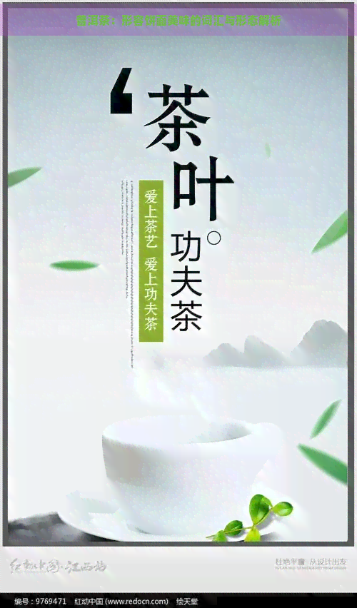 普洱茶：形容饼面美味的词汇与形态解析