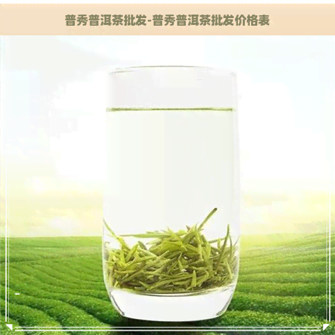 普秀普洱茶批发-普秀普洱茶批发价格表