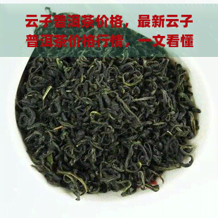 云子普洱茶价格，最新云子普洱茶价格行情，一文看懂市场走势