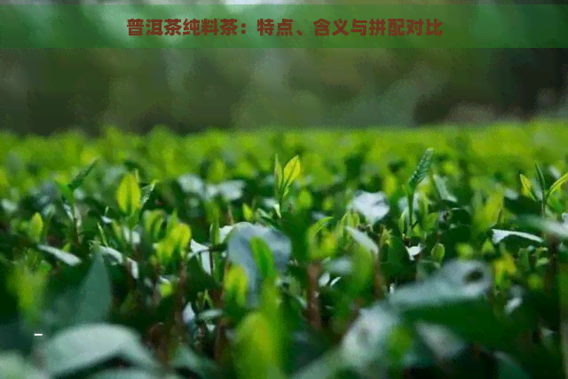 普洱茶纯料茶：特点、含义与拼配对比