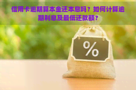 信用卡逾期算本金还本息吗？如何计算逾期利息及更低还款额？