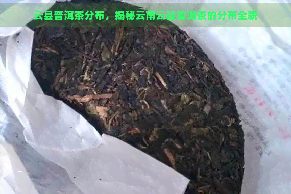 云县普洱茶分布，揭秘云南云县普洱茶的分布全貌