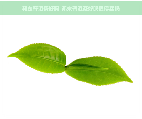 邦东普洱茶好吗-邦东普洱茶好吗值得买吗