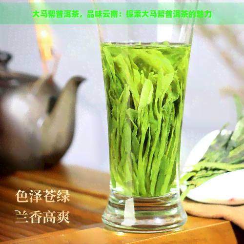 大马帮普洱茶，品味云南：探索大马帮普洱茶的魅力