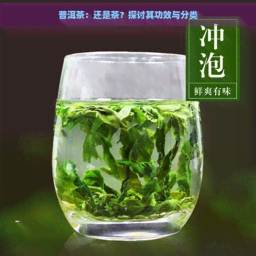 普洱茶：还是茶？探讨其功效与分类