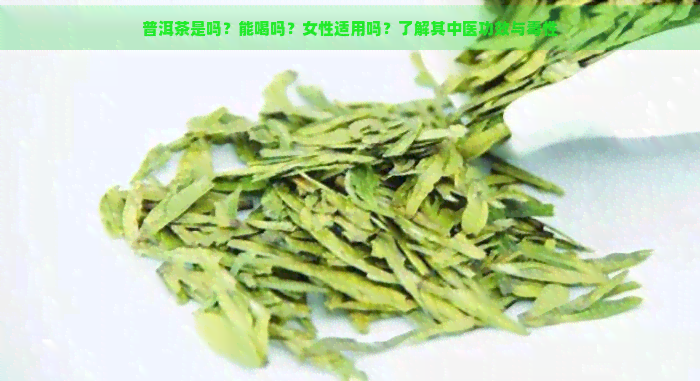 普洱茶是吗？能喝吗？女性适用吗？了解其中医功效与性