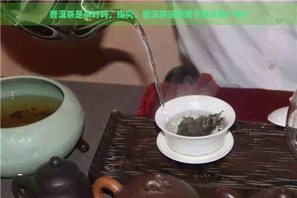 普洱茶是茶叶吗，探究：普洱茶是否属于茶叶的一种？