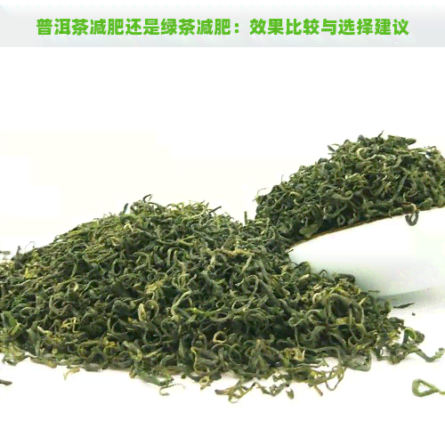 普洱茶减肥还是绿茶减肥：效果比较与选择建议