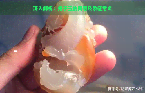 深入解析：兔子玉的寓意及象征意义