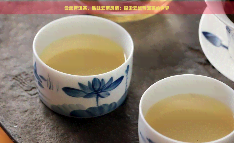 云馨普洱茶，品味云南风情：探索云馨普洱茶的世界