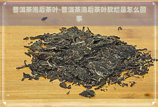 普洱茶泡后茶叶-普洱茶泡后茶叶软烂是怎么回事