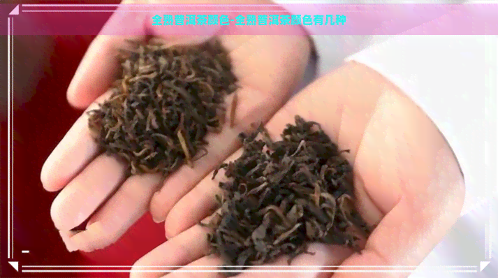 全熟普洱茶颜色-全熟普洱茶颜色有几种