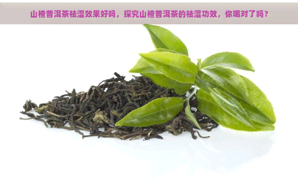 山楂普洱茶祛湿效果好吗，探究山楂普洱茶的祛湿功效，你喝对了吗？