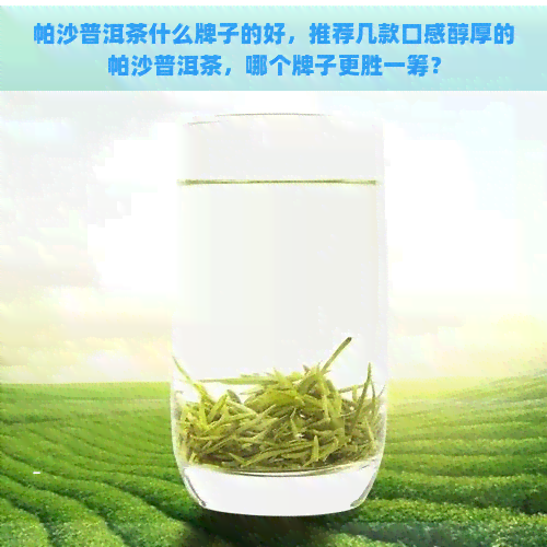 帕沙普洱茶什么牌子的好，推荐几款口感醇厚的帕沙普洱茶，哪个牌子更胜一筹？