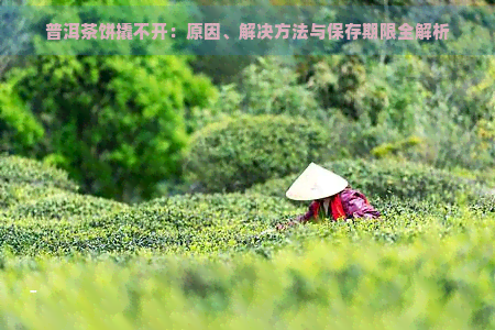 普洱茶饼撬不开：原因、解决方法与保存期限全解析