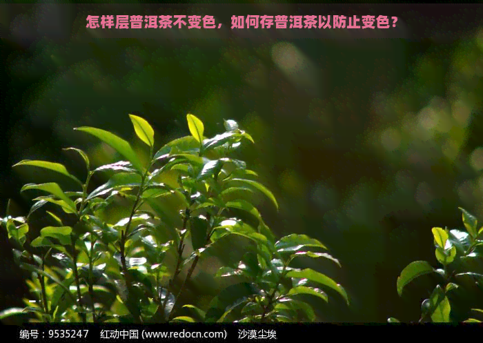 怎样层普洱茶不变色，如何存普洱茶以防止变色？