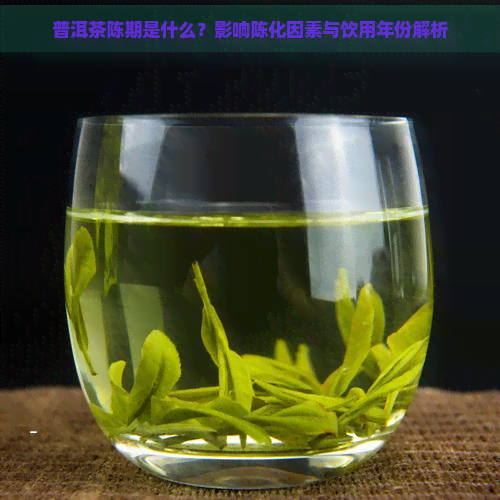 普洱茶陈期是什么？影响陈化因素与饮用年份解析