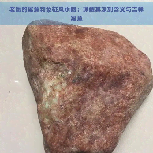 老鹰的寓意和象征风水图：详解其深刻含义与吉祥寓意