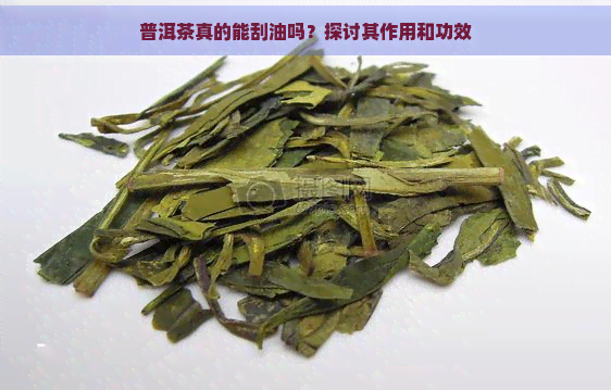 普洱茶真的能刮油吗？探讨其作用和功效