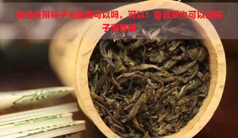 普洱茶用杯子泡着喝可以吗，可以！普洱茶也可以用杯子泡着喝