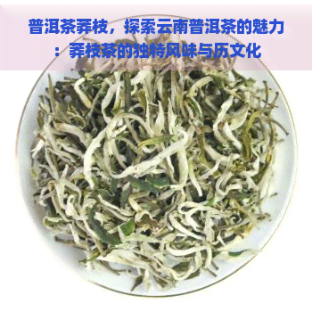 普洱茶莽枝，探索云南普洱茶的魅力：莽枝茶的独特风味与历文化