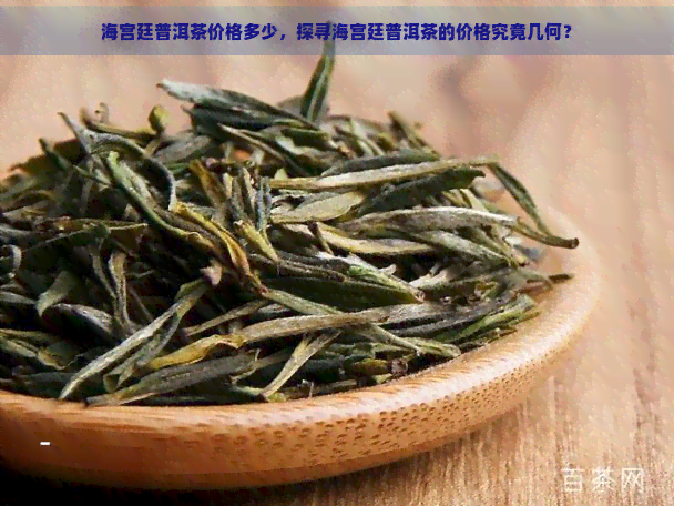 海宫廷普洱茶价格多少，探寻海宫廷普洱茶的价格究竟几何？