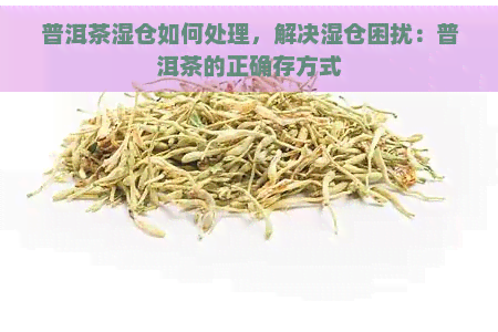 普洱茶湿仓如何处理，解决湿仓困扰：普洱茶的正确存方式