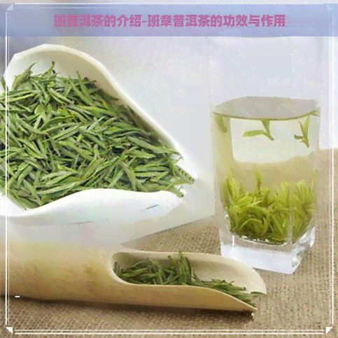 班普洱茶的介绍-班章普洱茶的功效与作用