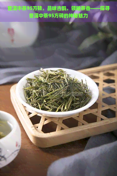 普洱中茶95方砖，品味古韵，领略茶香——探寻普洱中茶95方砖的神秘魅力