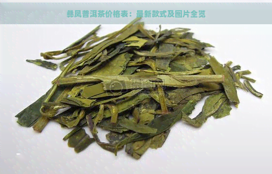 彝凤普洱茶价格表：最新款式及图片全览