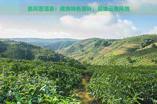 彝风普洱茶：彝族特色茶叶，品味云南风情