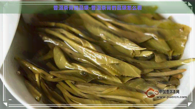 普洱茶膏的品级-普洱茶膏的品级怎么看