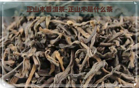 正山木普洱茶-正山木是什么茶