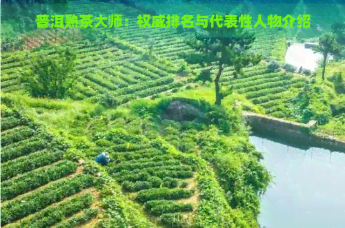 普洱熟茶大师：权威排名与代表性人物介绍