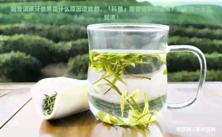 喝普洱茶牙齿黑是什么原因造成的，「科普」喝普洱茶牙齿黑？原因你一定要知道！