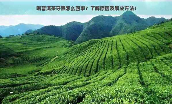 喝普洱茶牙黑怎么回事？了解原因及解决方法！