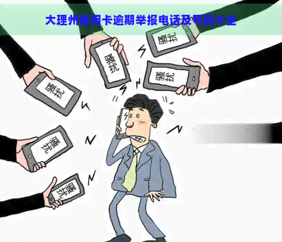 大理州信用卡逾期举报电话及号码大全