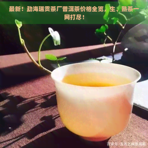 最新！勐海瑞贡茶厂普洱茶价格全览，生、熟茶一网打尽！