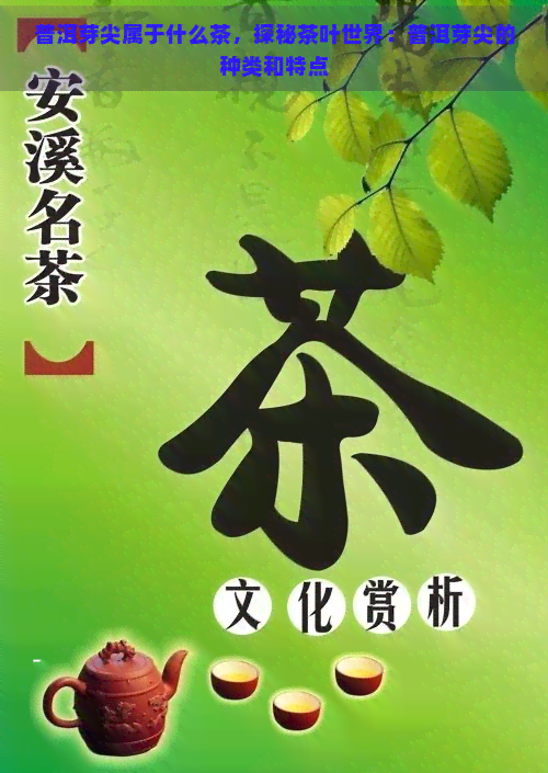 普洱芽尖属于什么茶，探秘茶叶世界：普洱芽尖的种类和特点