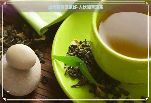 出伏喝普洱茶好-入伏喝普洱茶