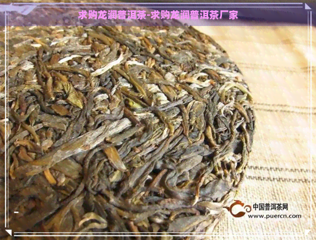 求购龙润普洱茶-求购龙润普洱茶厂家