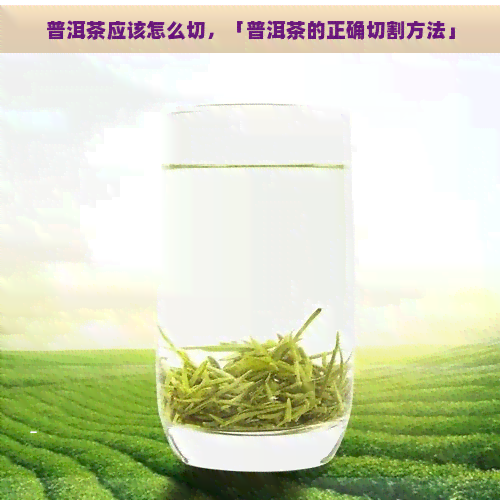 普洱茶应该怎么切，「普洱茶的正确切割方法」