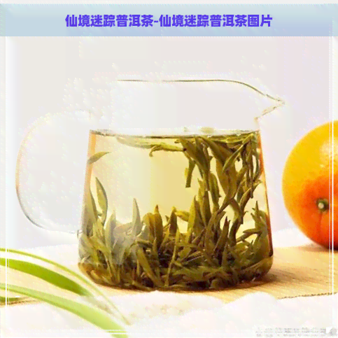 仙境迷踪普洱茶-仙境迷踪普洱茶图片