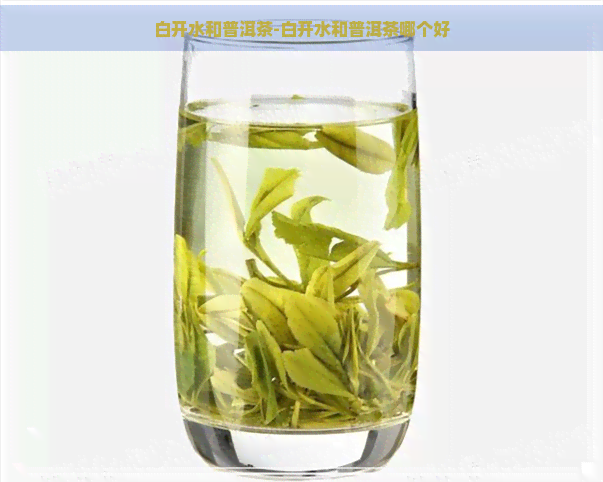 白开水和普洱茶-白开水和普洱茶哪个好