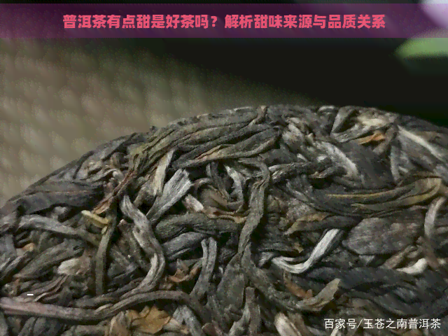 普洱茶有点甜是好茶吗？解析甜味来源与品质关系